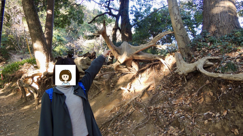 愛妻と高尾山
