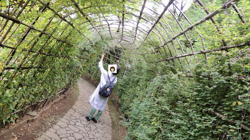 妻と草木のトンネル
