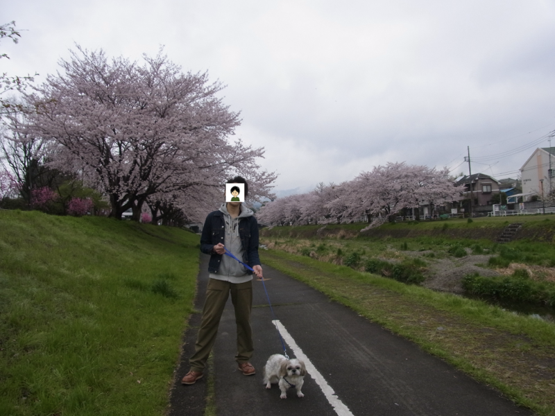 2016年の思い出