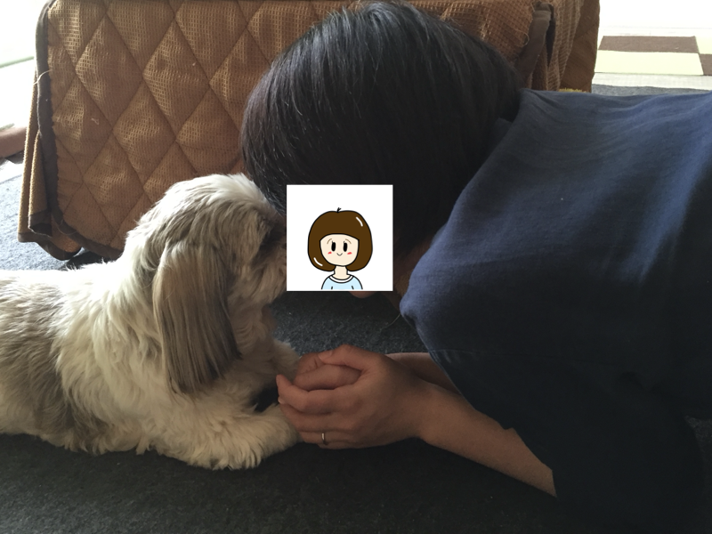 2016年の思い出