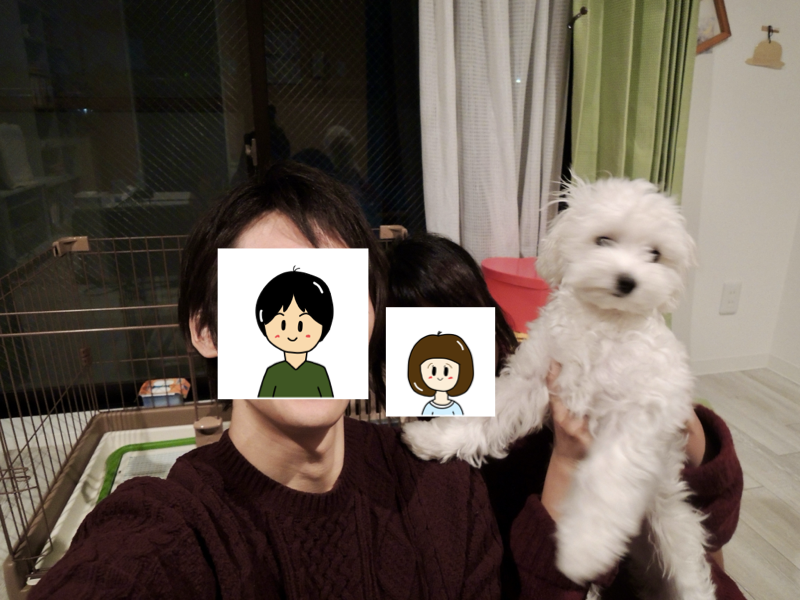 2017年の思い出
