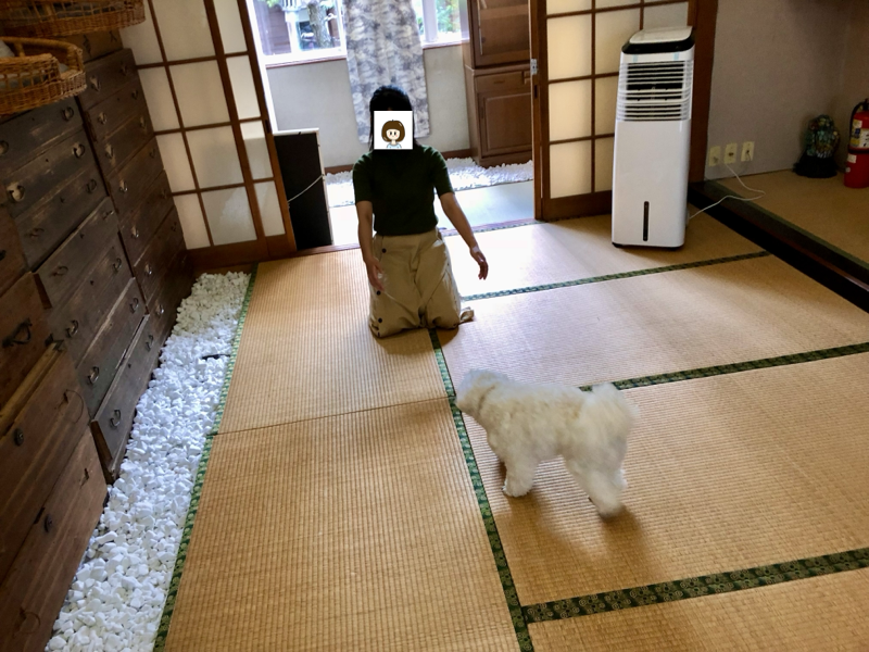 旅館