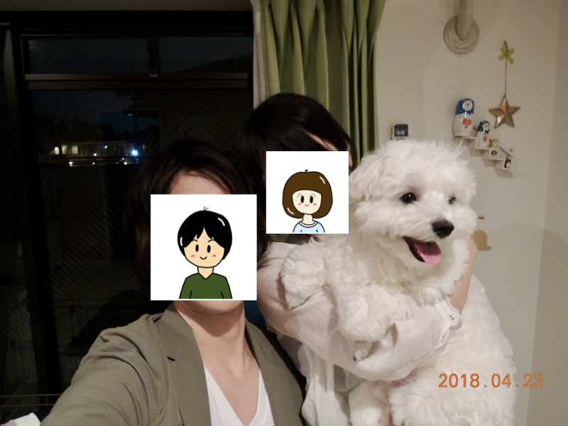 2018年の思い出