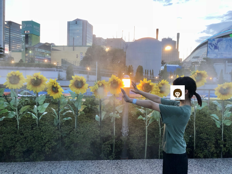 2018年の思い出