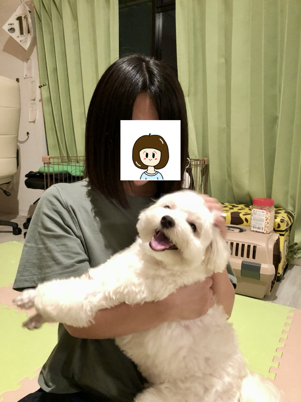 2018年の思い出