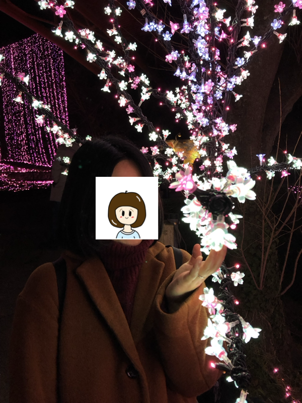 2018年の思い出