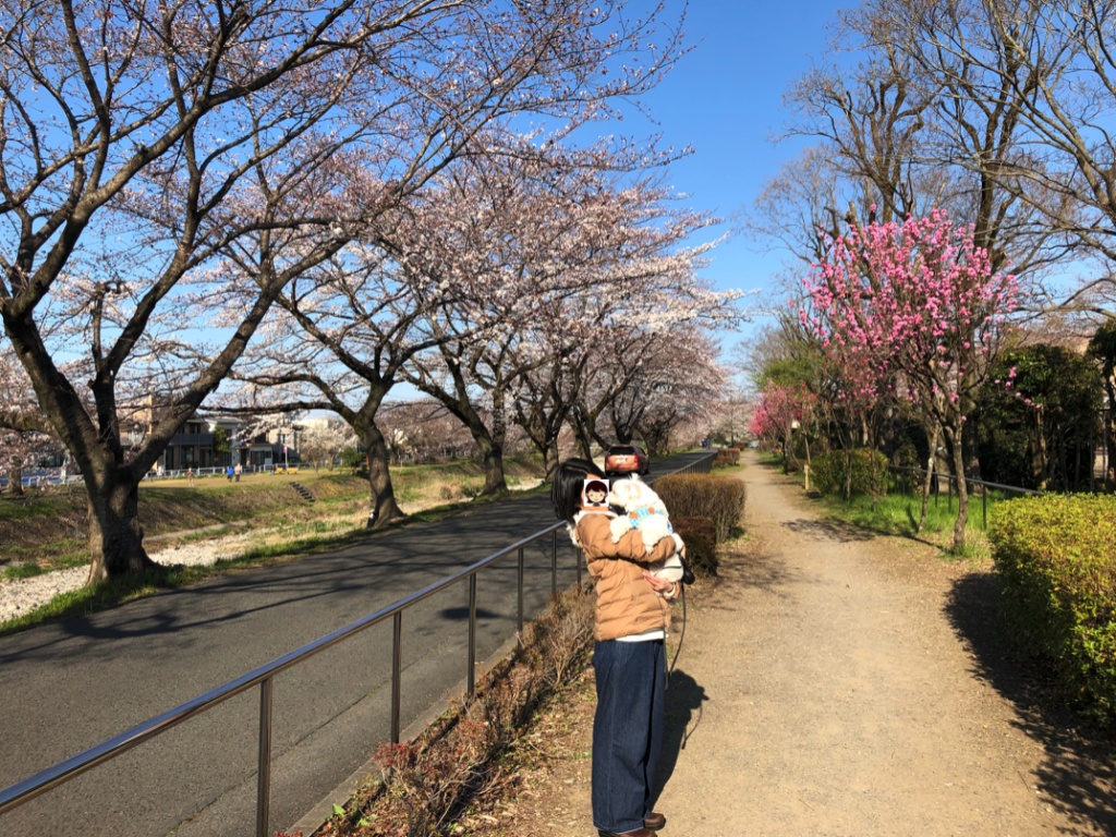 お花見