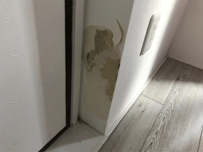 愛犬ムースの事件簿
