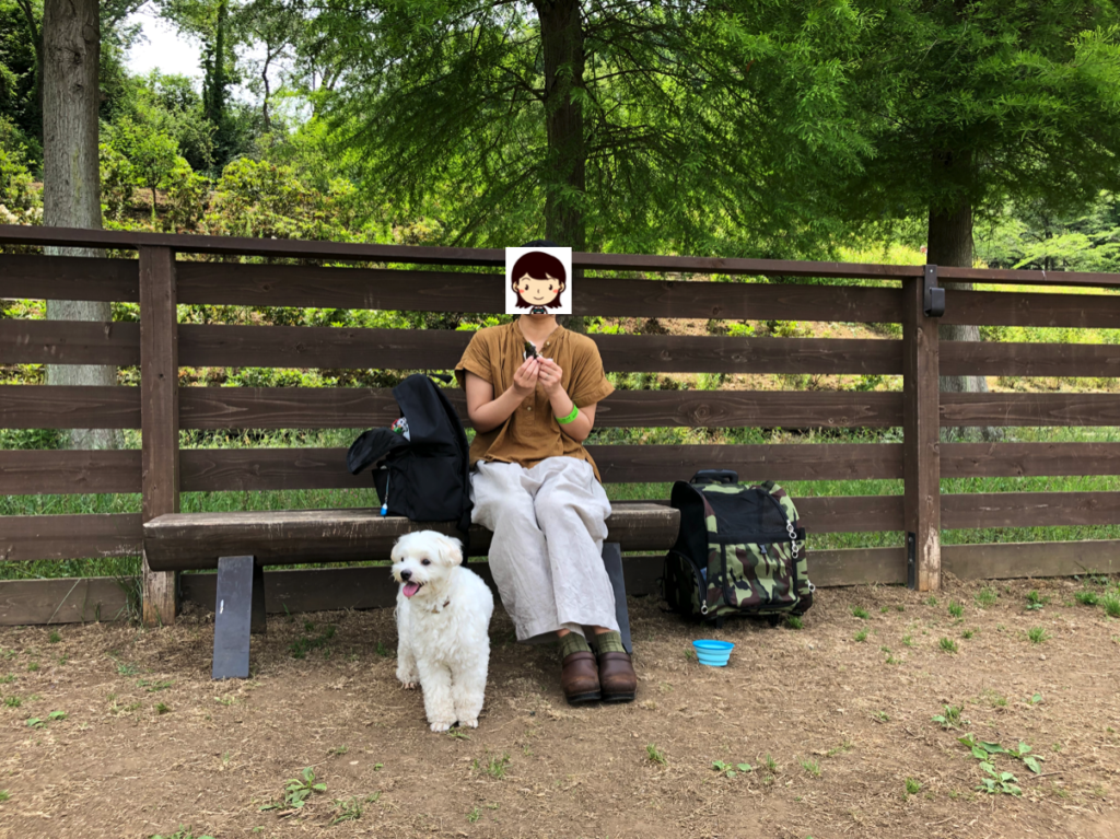 ドッグラン