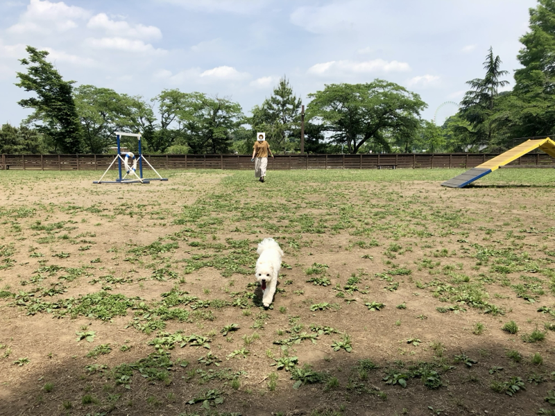 わんダフルネイチャービレッジ