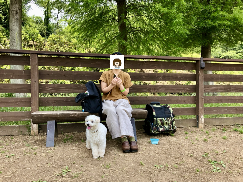 わんダフルネイチャービレッジ