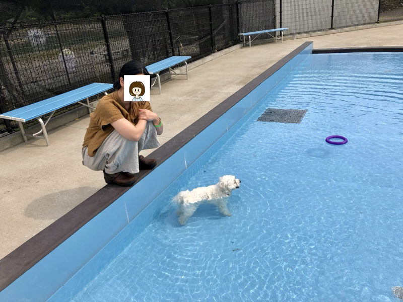 わんダフルネイチャービレッジ