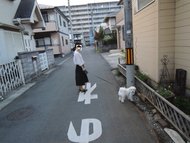 愛犬と散歩中の妻