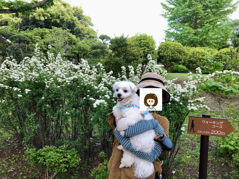 2019年の思い出