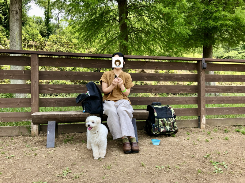 2019年の思い出