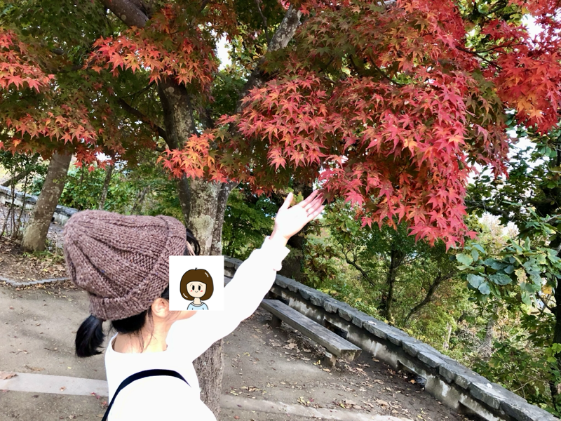 2019年の思い出