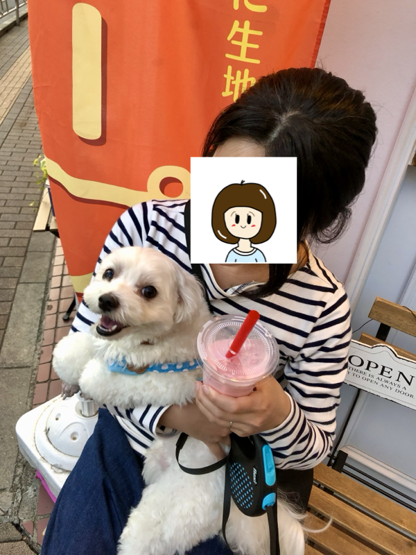2019年の思い出