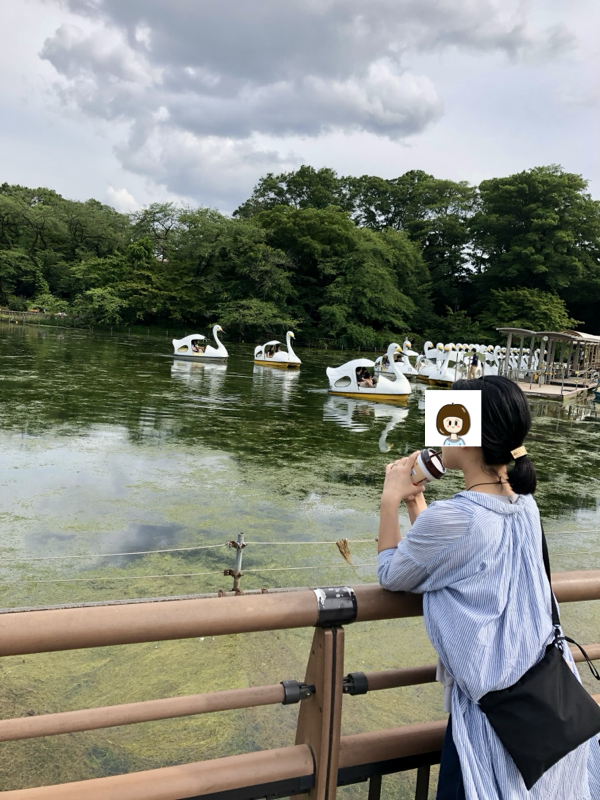 2019年の思い出