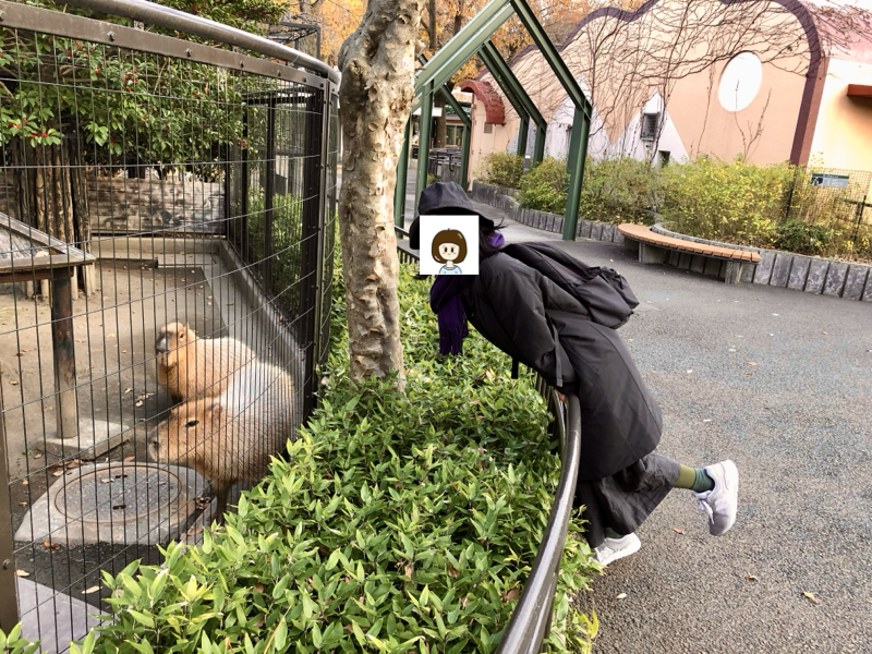 2020年の思い出
