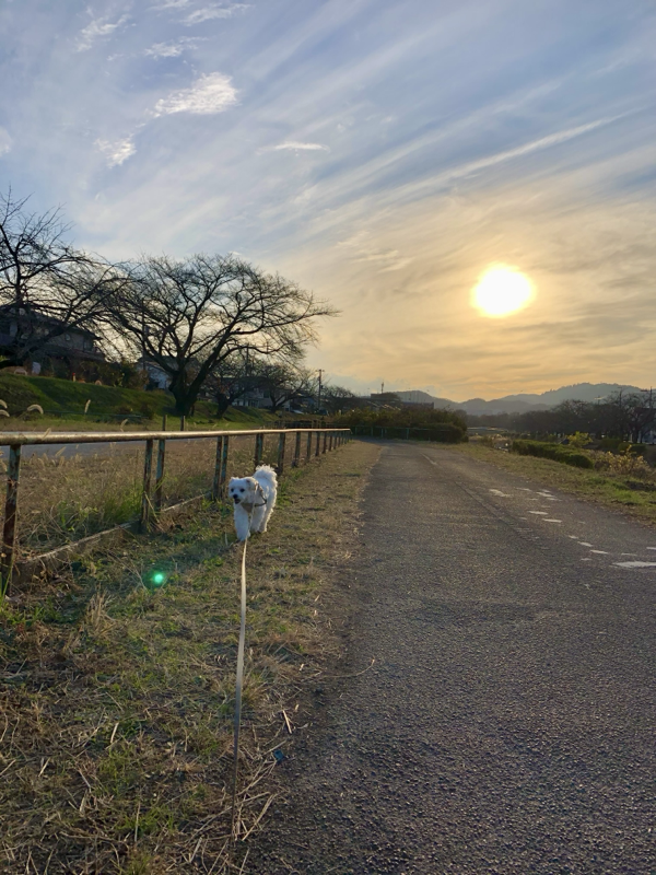 2020年の思い出