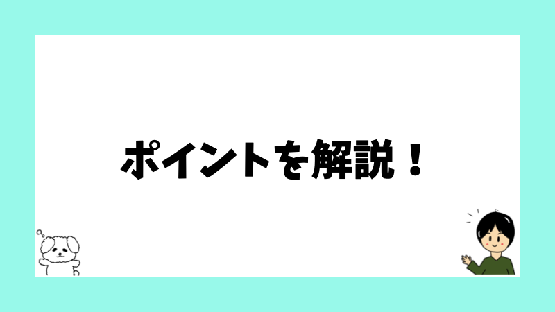 ポイントを解説！