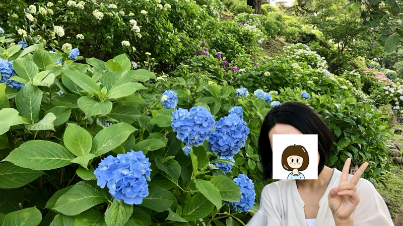 妻とあじさい