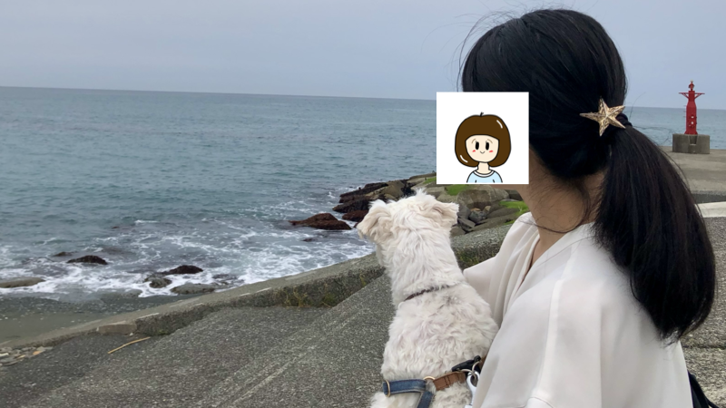 愛妻と愛犬と海