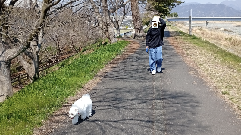 愛妻と愛犬と散歩
